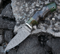Нож Лань дамасской стали купить на сайте koval-knife.shop